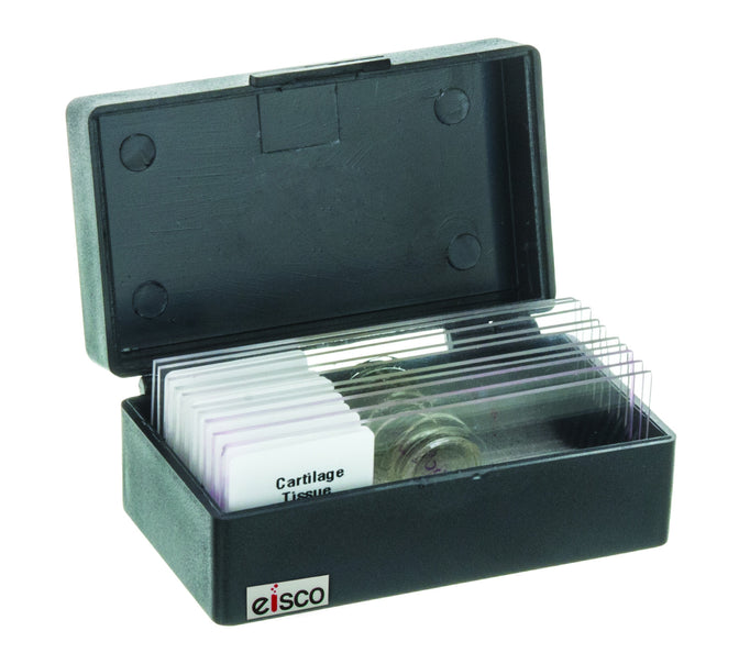 CAJA PARA 10 PORTAOBJETOS EISCO