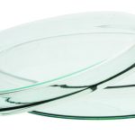 CAJA PETRI 50X17MM DE VIDRIO BOROSILICATO CON TAPA EISCO