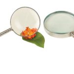 LUPA 100MM DIÁMETRO, MANGO Y MONTAJE METÁLICO, LONGITUD FOCAL DE 20CM EISCO